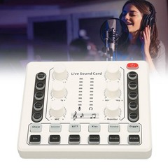 Live Sound Card Multiple Effects Voice Changer For Streaming/KTV