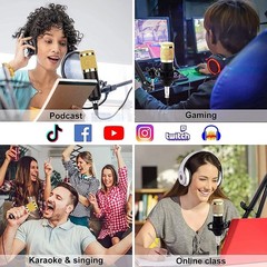Podcast Equipment Bundle, BM-800 Mic Kit with Live Sound Card, Adjustable Mic…