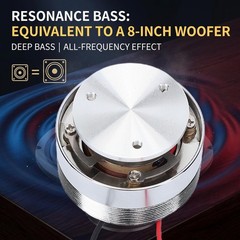 Resonance Speaker 1.7in All Frequency 4Ω 25W Sturdy Steel Mini Portable Vib KVPZ
