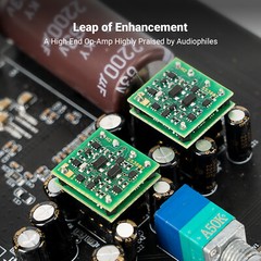 SPARKOS LABS SS3602 Discrete Dual for BT20A PRO and V3 high-end audio components