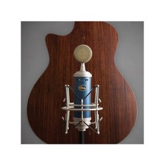 Blue Microphone Bluebird SL XLRCardioid Condenser Microphone for Recording, S…