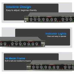 Professional Channel Audio Compressor Dynamic Processor with Noise Gate &
