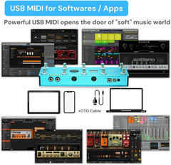 Paint Audio MIDI Captain Foot Controller and Wireless MIDI Adapter-Midi Mate Tim