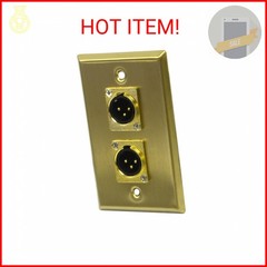 Seismic Audio SA-PLATE18 Gold Stainless Steel Wall Plate with Dual XLR Male Conn