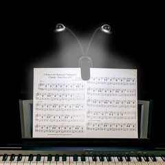 Music Stand Light, 1/2/4/10 Pack Clip on LED Book Lights, USB 1 Pack, Black