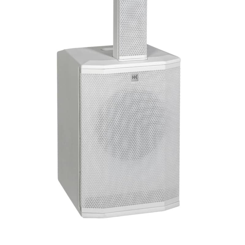 OB*HK Audio Polar 10 MK2 2000W 10-Inch Active Column Loudspeaker System (Black)