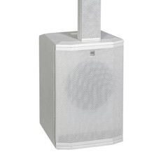 OB*HK Audio Polar 10 MK2 2000W 10-Inch Active Column Loudspeaker System (Black)