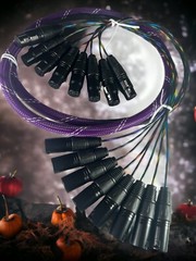 Canare Custom | 8 Channel Balanced Studio Snake Cable, HIFI XLR M/F