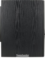 Dynaudio BM15A 10 inch Powered Studio Monitor (Right Side)