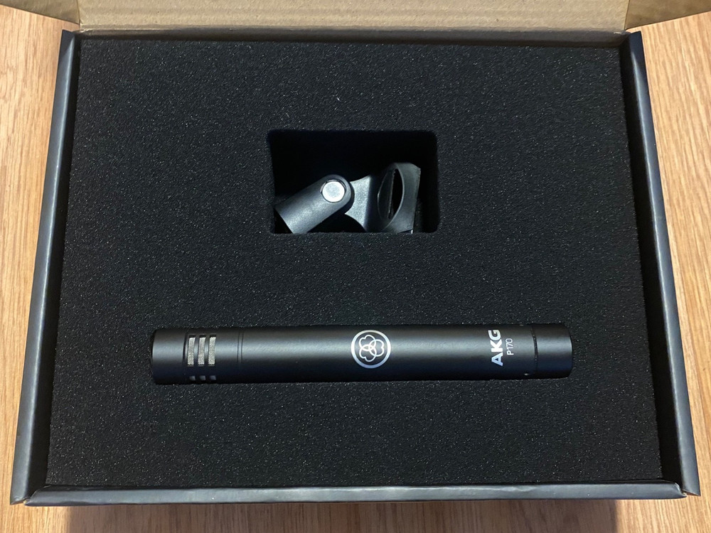 AKG P170 High-Performance Instrument Microphone (3101H00410)