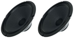 2 Celestion Ten 30 10″ 30W Steel-Chassis Guitar Speakers 8 Ohm W/Ceramic Magnets