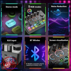 Hayner-Seek Podcast Mic Bundle RS2i2