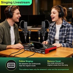 Dual Microphone Podcast Bundle for 2 – Condenser Mics, Mixer