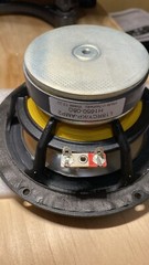 🟢 Amphion two18 two 18 two-18 one-18 one 18 one18 6.5” WOOFER replacement used