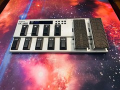 Roland FC-300 MIDI Foot Controller