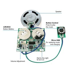 Icstation Recordable Sound Module, 8M USB Button Control with Battery