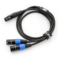 XLR Splitter – Female to Dual Male Y Cable, 5 Feet