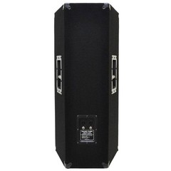 Seismic Audio Dual 12″ Passive PA Speaker Cabinet Titanium Horn FL-122P-Single