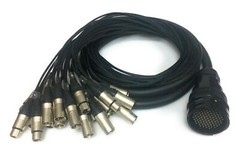 DG Systems – Spider 24ch LK85 M / 12 XLR M + 12 XLR F Neutrik – Made in Italy