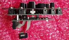 Make Noise Soundtrack Echophon Black & Gold Module TC5003726