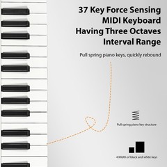 Btuty 37-Key MIDI Keyboard 45.8 X 18.1 X 5 Cm / 18.03 X 7.13 X 1.97 In