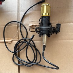 Untested ZINGYOU Condenser Microphone and Cord, PC Professional Cardioid A6