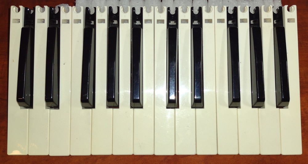 2 – Octaves, 24 Keys Dave Smith Prophet ’08 Synth FATAR USED 5 Sharp, 7 Natural