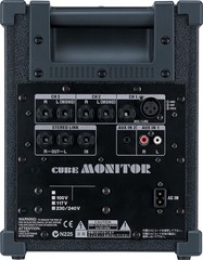 Roland CM30 Cube Portable Monitor (30 Watts, 1×6.5 in.)