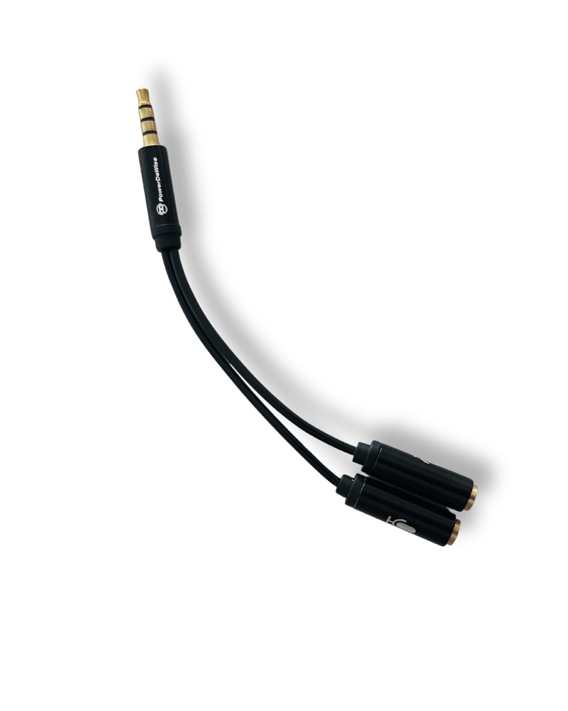 PowerDeWise Dual Mic Y-Splitter Cable – 3.5mm TRRS to 2 Female Jacks – Interview