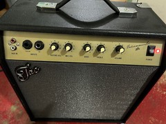 The Ant Commandas (TAC) Thunderbox 28  -Built in Delay Channel- Amp Works!