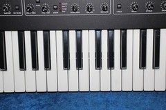 Dave Smith Instruments Prophet REV2 8 Voice Synthesizer, 5-Octave, Bi-Timbral