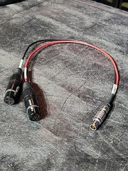 LEMO 8-Pin Male to Dual XLR 3-Pin Cable