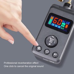 Rechargeable Dual Microphones with Receiver for Karaoke Singing Speech Church