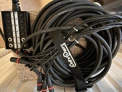 Proco Stagemaster 100-foot analog snake.