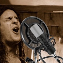 Professional Dual Layer Metal Grill Microphone Filter Anti-Spray Net Sing Audio