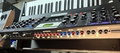 Moog Minimoog Voyager Select Series (Black Wood & Purple Lights)