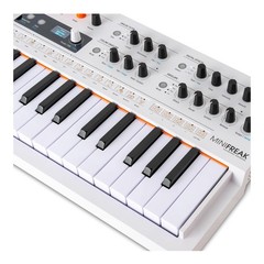 Arturia MiniFreak 37-Key Hybrid Synthesizer with 6-Voice Polyphony