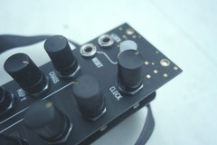 uGrids microGrids Mutable Instruments Grids 8HP Clone Black & Gold Panel