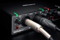 Roland Rubix24 2-In/4-Out USB Audio Interface