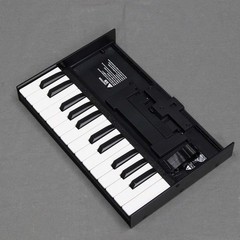 Roland K-25m Boutique Series 25-Key Mini Keyboard Unit Used Japan