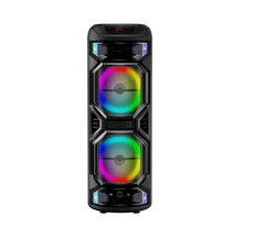 Wireless Speaker 12 Inch Bluetooth Portable PA System Dual Wireless Microphone