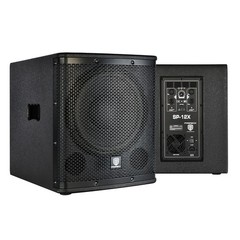 PRORECK 12 in Powered Subwoofer Class D 1000W Active Karaoke Home Party Speaker