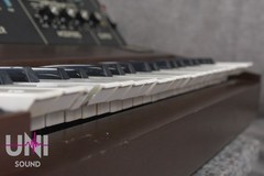 Moog Minimoog model D Original in Good conditions
