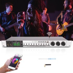 Audio Processor Professional Anti-howling Silver Audio Processor 110V 25W