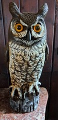 Theremin Synthesizer Drone Owl