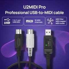 U2MIDI Pro – High-Speed USB MIDI Cable with Filter and Mapper – Plug & Play U…