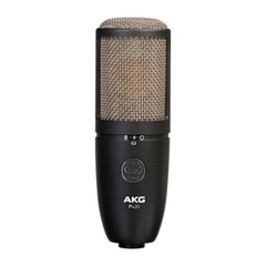 AKG P420 Multi-Pattern Large Diaphragm Condenser Studio Microphone Recording Mic
