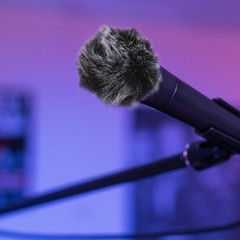 2Pcs Plush Microphone Covers Protective Sleeve for Ktv Singing Assorted Colors