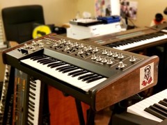 OBERHEIM OB-1 FULLY SERVICED ULTRA RARE IN AMAZING CONDITION!