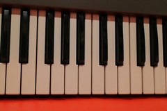 USED Roland JX-8P Synthesizer Keyboard JX 8P Worldwide shipment U1910 230216
